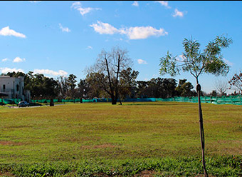 BellaVista Chico