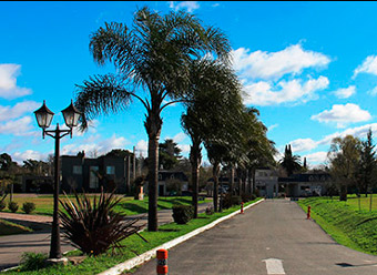 BellaVista Chico