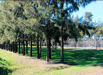 BellaVista Chico