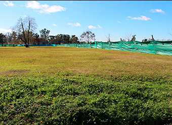 BellaVista Chico