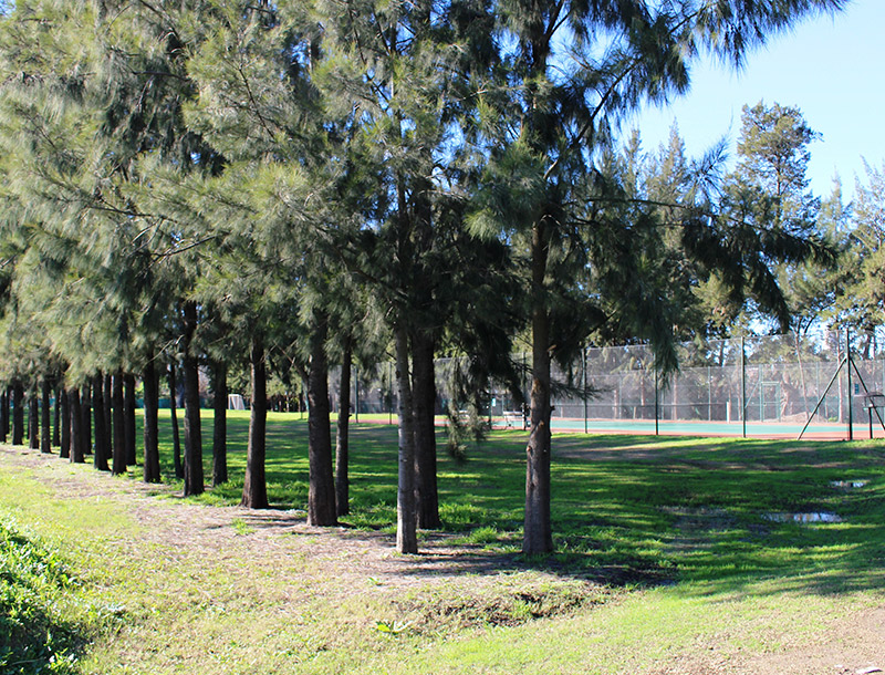 BellaVista Chico